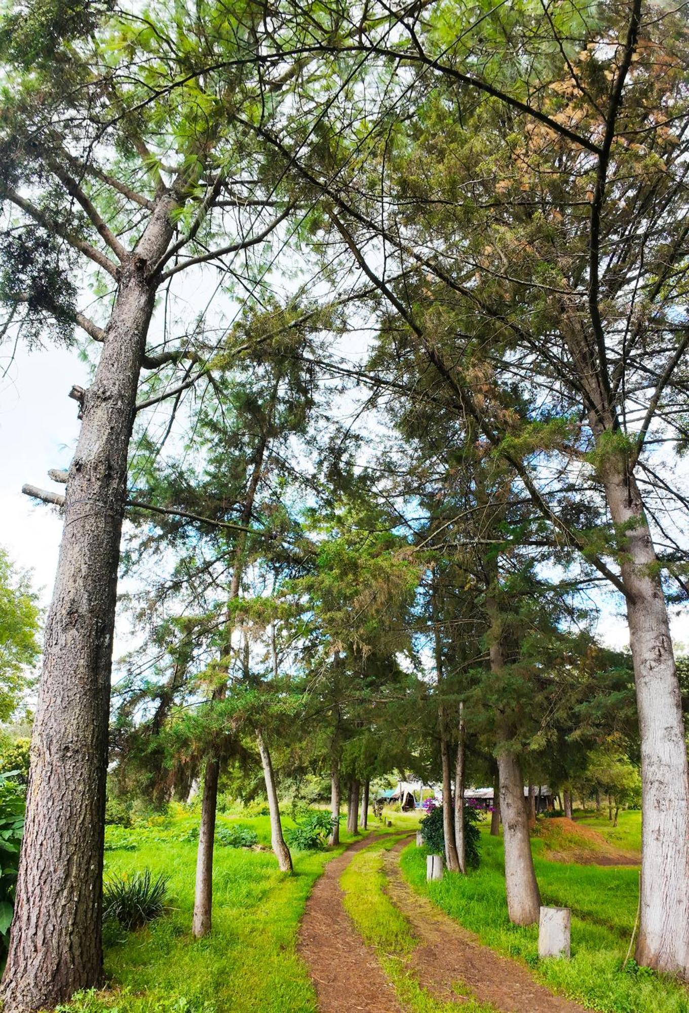 Villa Patzcuaro Garden Hotel&RV Park Exterior foto